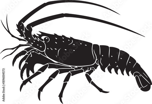 Spiny Lobster Silhouette on White Background