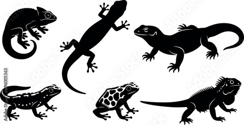 Collection of six lizard silhouettes in various poses