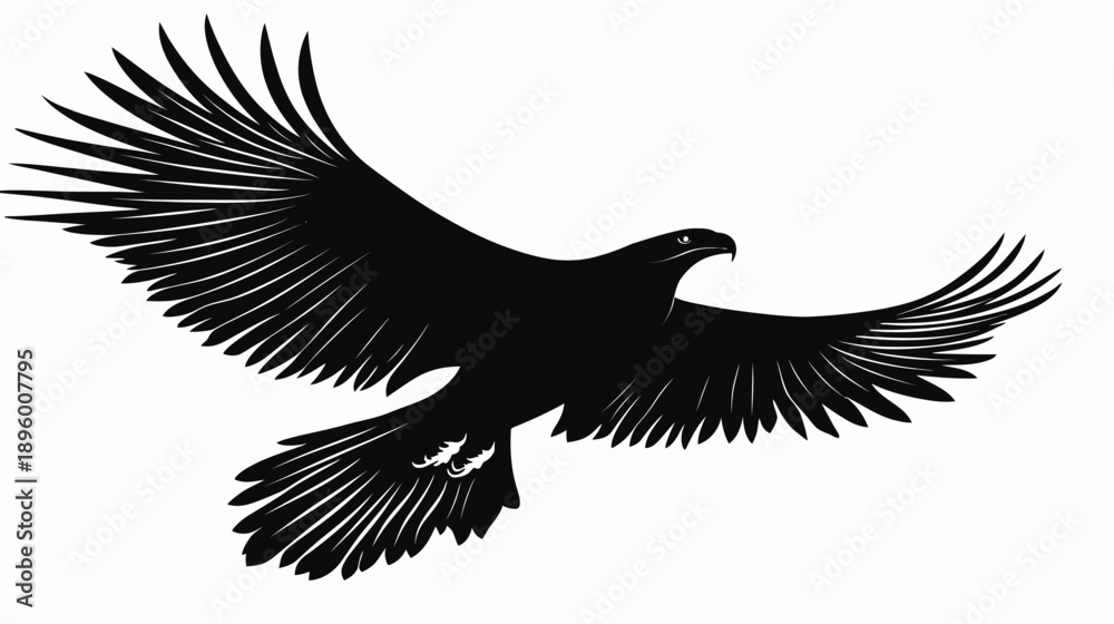 Obraz premium Majestic eagle soaring against a clear sky backdrop