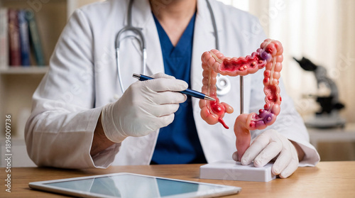 Doctor explains colon diseases and colorectal cancer using a detailed anatomical model of the large intestine. Medical education, diagnosis, and health awareness