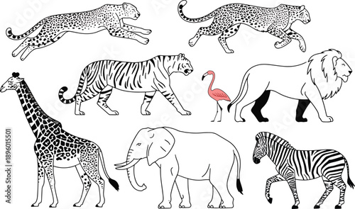 safari animals A diverse collection featuring big cats herbivores and a pink flamingo