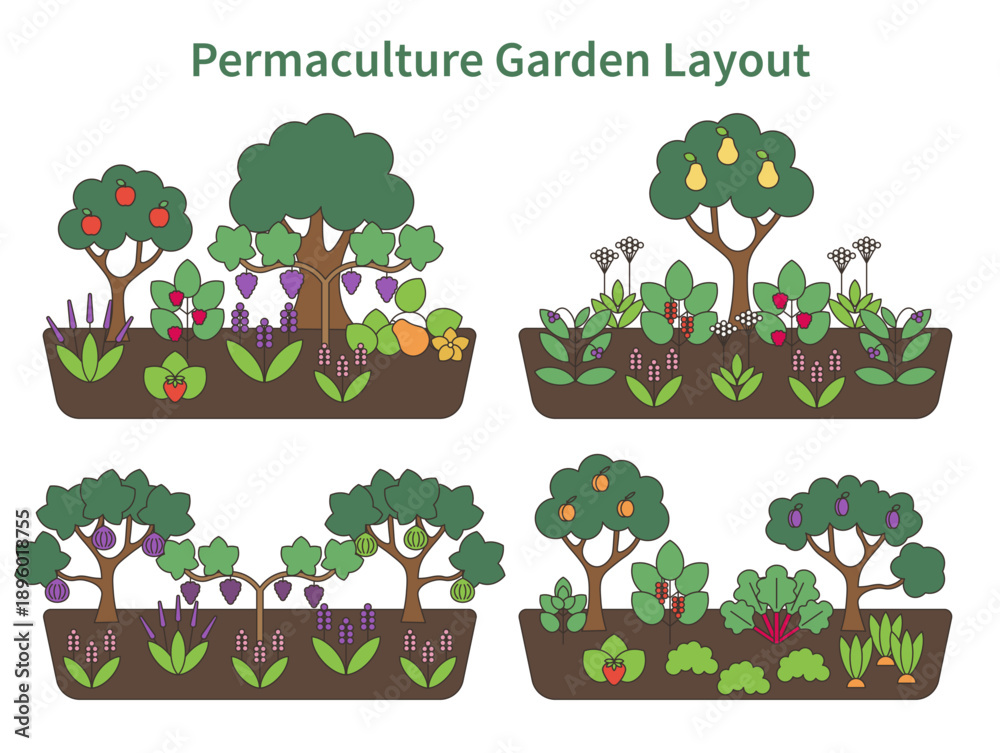 Naklejka premium Permaculture garden design layout vector illustration. The diagram shows layered edible plants growing together in a balanced system, including fruit trees, shrubs, vines, herbs, and ground cover. 