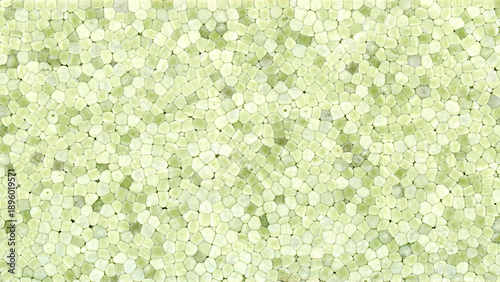 green expanded polystyrene plastic texture background