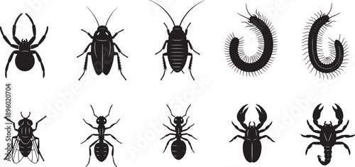 Collection of various black insect and arthropod illustrations including spiders, cockroaches, flies, ants, and scorpions