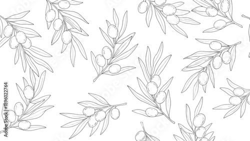 Sketch of olive branches with leaves and fruit is displayed in a minimalist style on a clean white background tile.