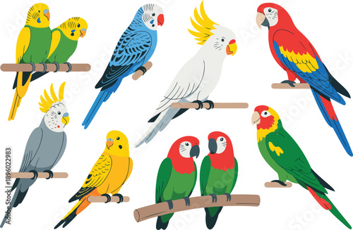 Parrot Species Outline Manual Design Set Macaw, Cockatoo, Budgie