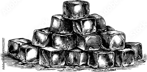 Vintage botanical engraving of sugar cubes for culinary design and historical insight