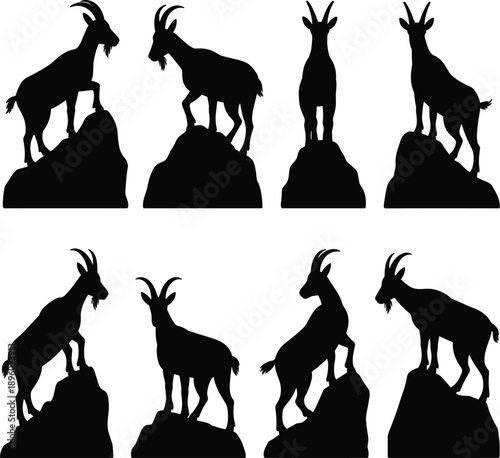 Mountain goat silhouette standing on rocky cliff in multiple poses isolated on white background wild alpine animal illustration