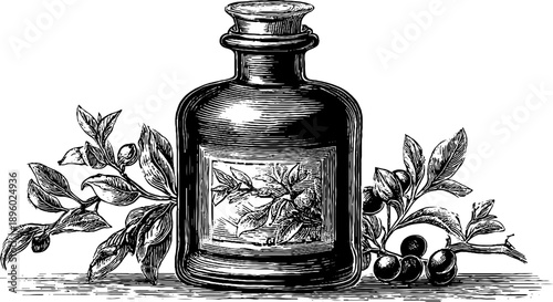 Vintage botanical vinegar bottle design for culinary use and home decor