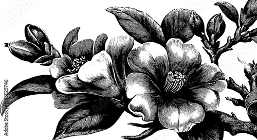 Vintage botanical pattern detail with floral silhouette for textile design