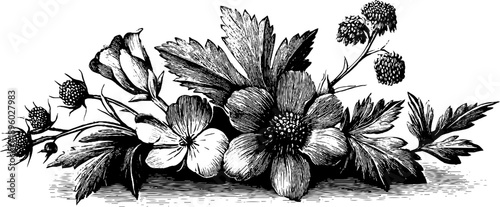 Vintage wildflower bouquet botanical composition - retro engraving design for print or poster