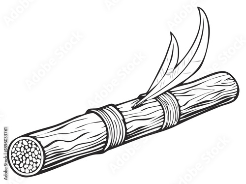 Scroll tied with rope and adorned with feathers a symbol of ancient communication and information