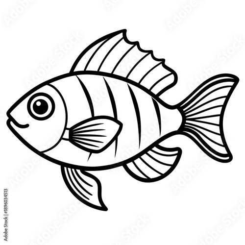 Electric Blue Acara line art vector