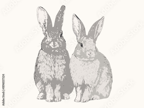 Two rabbits depicted in a simple grayscale illustrative style