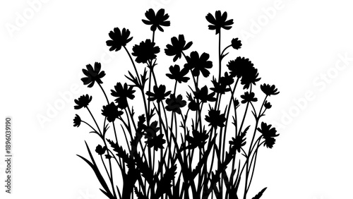 Black Silhouette of Wildflowers and Grass.