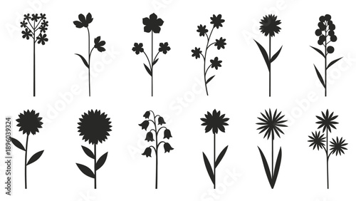 Collection of Various Flower Silhouettes.
