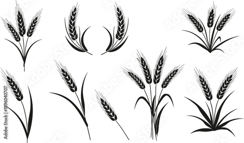 Black wheat ear and cereal plant silhouette set featuring various harvest grain stalks for bakery and agricultural branding vector
