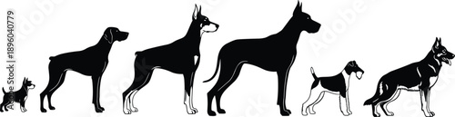 Black silhouette set of various dog breeds including Great Dane and Doberman Pinscher, canine size comparison collection isolated on white background vector illustration.
