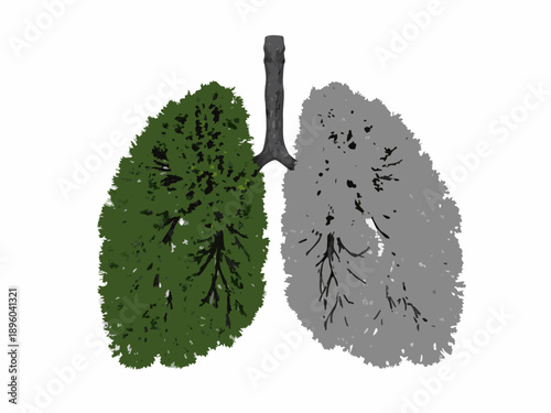 Healthy versus unhealthy lungs a visual depiction of respiratory health