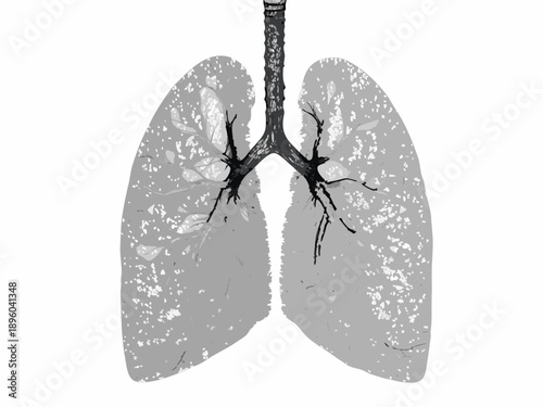 Anatomical illustration of human lungs showcasing bronchial tree and alveolar structure