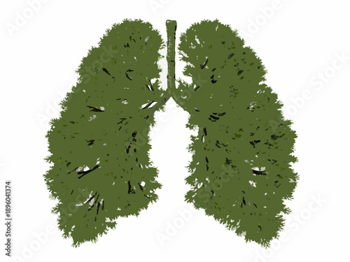 Lungs shaped like trees representing respiratory health and environmental connection