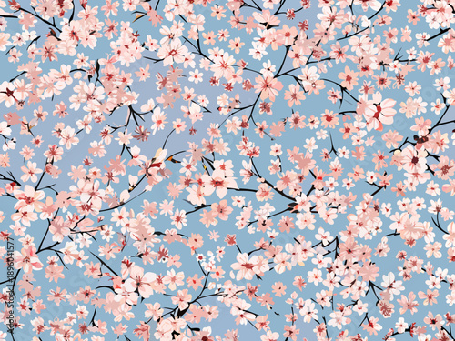 Delicate pink cherry blossoms against a soft blue sky background