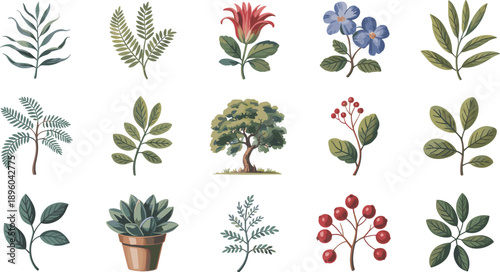 Vintage botanical illustration collection with flowers leaves branches and plants, hand drawn natural elements, classic herbarium style artwork