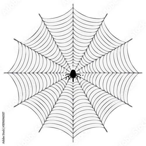 Spider web with a spider for Halloween decorations and Halloween background