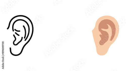 Human ear illustration in different styles