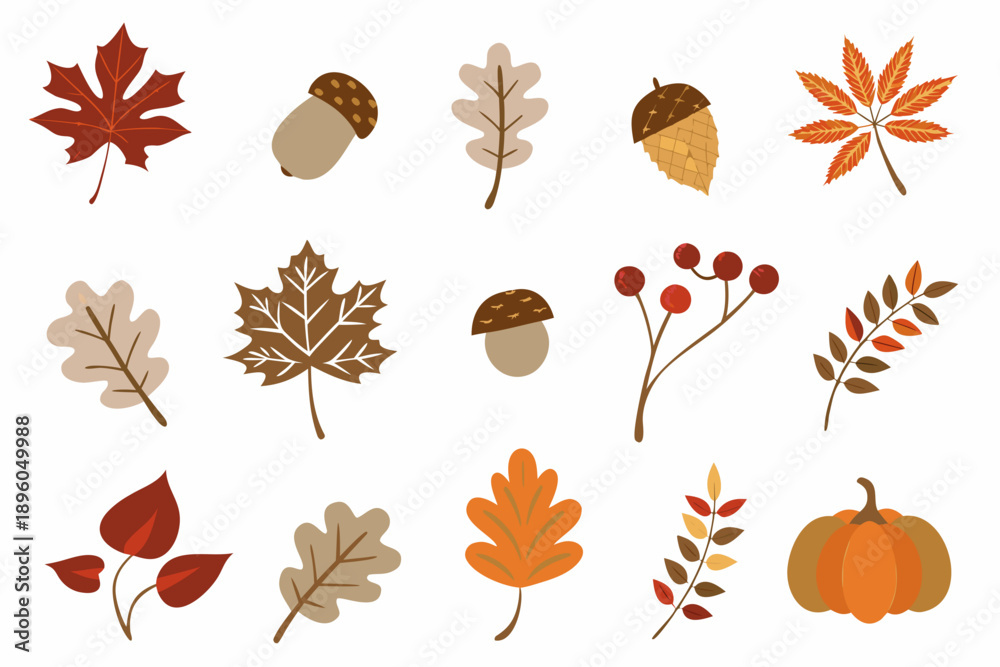 Obraz premium Autumn foliage and elements a collection of leaves acorns and berries