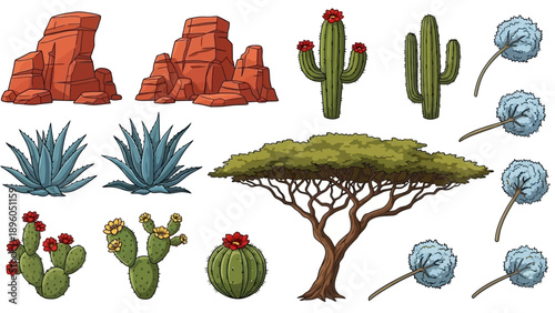 Collection of desert plants and rock formations.