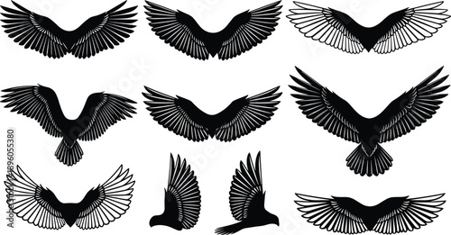 Bird wing silhouette collection, black flying poses, feather motion design, nature vector illustration, animal graphic, wildlife artwork set