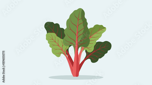 Minimalist illustration of a leafy green plant with vibrant red stems