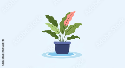 Minimalist illustration of a potted plant with green and pink leaves