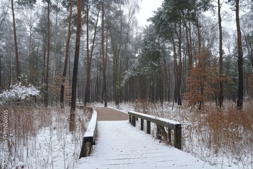 Snow-covered pathway through a serene forest in winter