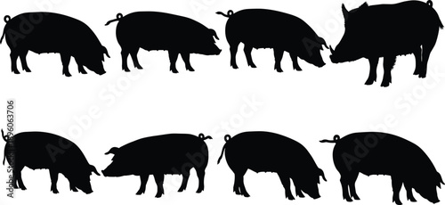 Pig silhouette collection, black farm animal poses, domestic and wild pig design, nature vector elements, livestock illustration set