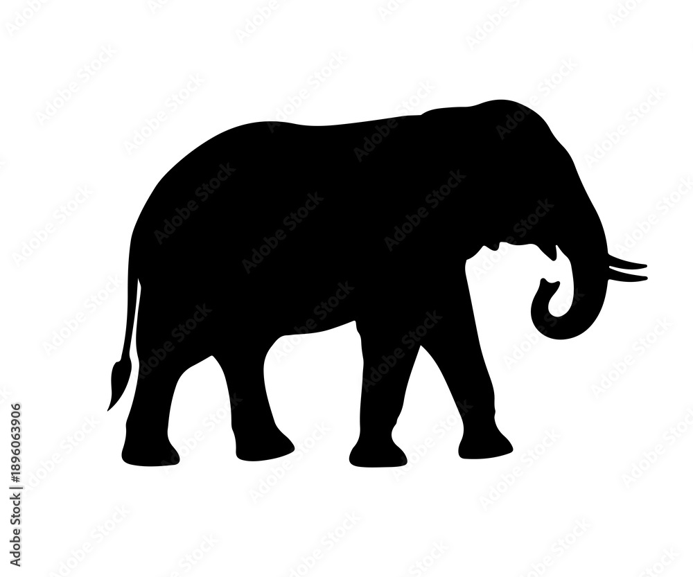 Fototapeta premium A black silhouette of an elephant walking on a white background
