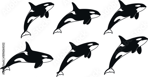 Orca Killer Whale Silhouettes Vector Illustration Set, Marine Mammal Jumping and Swimming in Ocean Black and White Collection