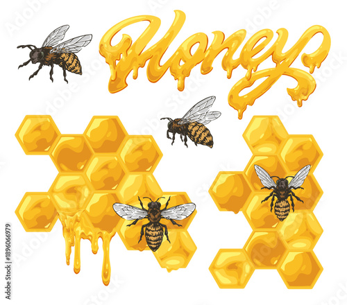 Honey and bees in a design