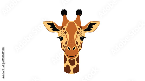 Elegant close up portrait of a giraffe head with beautiful patterned fur and long eyelashes, isolated on a white background.