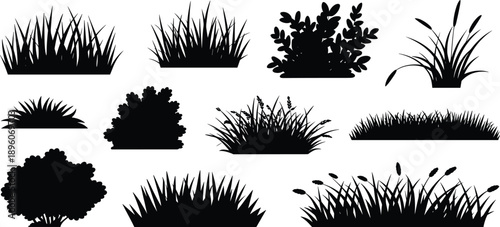 Grass and bush silhouettes collection isolated on white background, natural plants foliage set for landscape design, gardening, ecology vector illustration