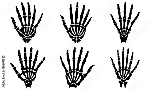 Various Hand Illustrations Showing Different Finger Positions and Gestures