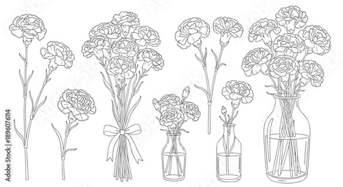 Detailed line art drawings show carnation flowers in various arrangements including bouquets and simple glass vases.