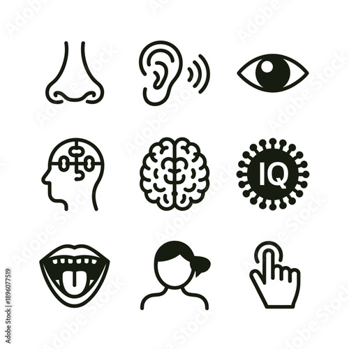 Illustrations of human senses brain intelligence and perception