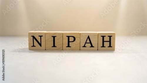 Wooden blocks spelling out NIPAH on a clean surface