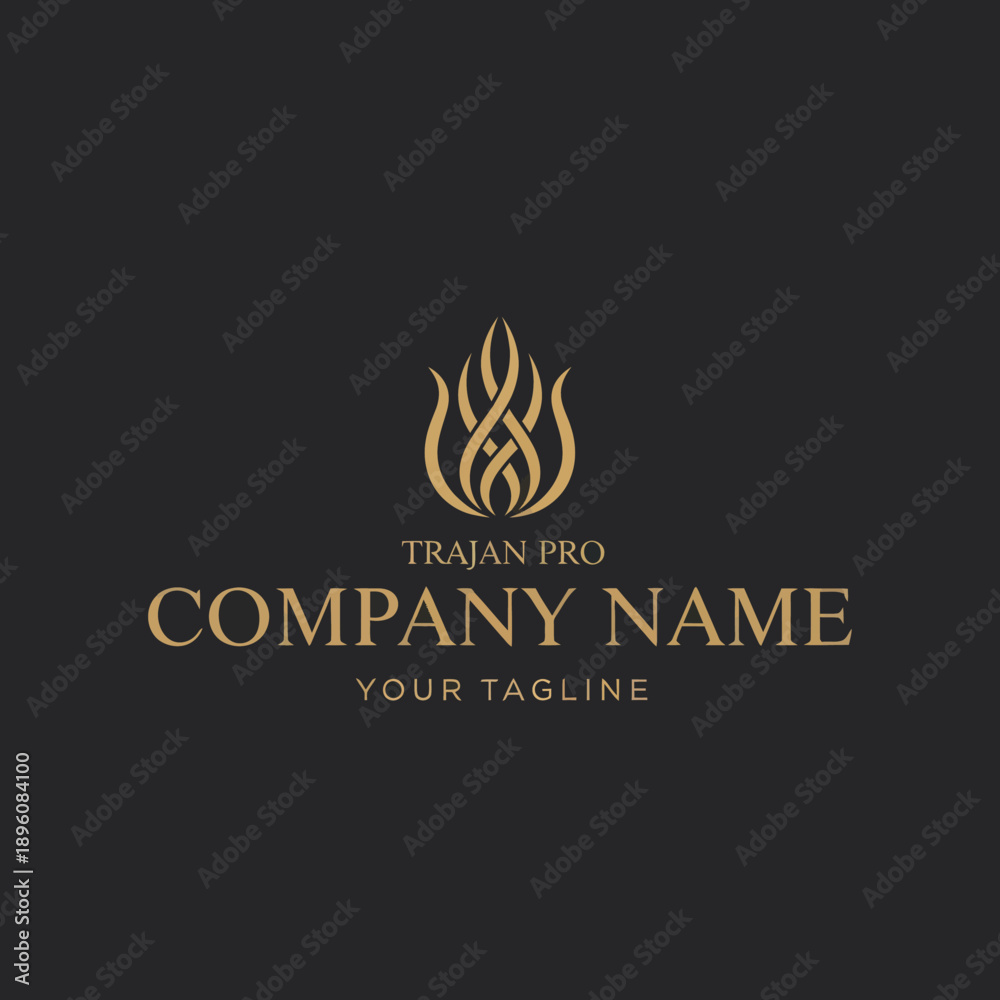 Obraz premium Golden Flame Logo Design Template Element.