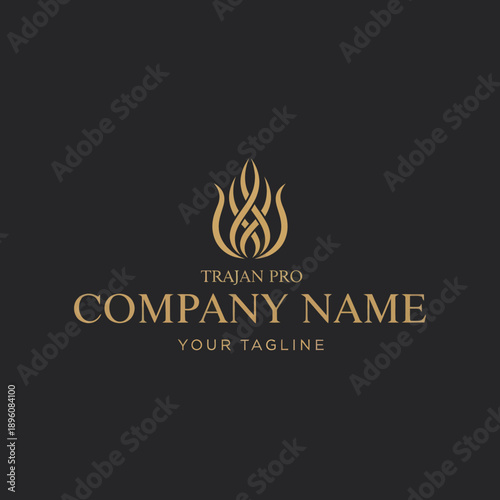Golden Flame Logo Design Template Element.
