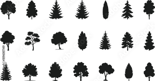 Collection of tree silhouettes, various forest trees including pine fir and deciduous shapes, black natural elements isolated on white background vector illustration