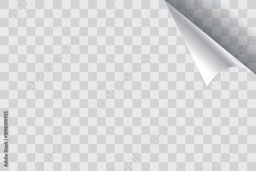 Realistic vector illustration curled paper on transparent background
