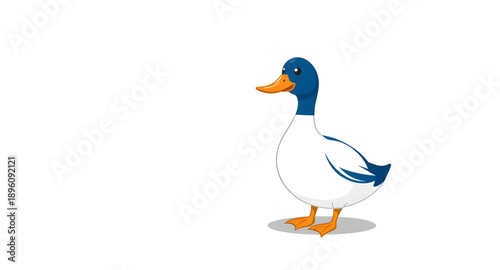 duck, bird, animal, wildlife, waterfowl, aquatic, pond, lake, river, wetland, water, swimming, floating, beak, feathers, wings, quack, nature, outdoor, wild, farm, domestic, cute, cartoon, icon, symbo